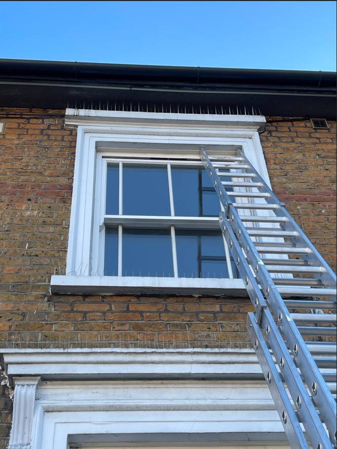 Totteridge period property before — sash window ledges exposed to pigeon nesting